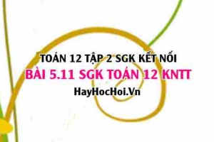 Bài 5.11 SGK Toán 12 tập 2 Kết nối tri thức: Viết phương trình tham số và chính tắc của đường thẳng